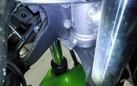 KAWASAKI NINJA150RR 2019