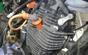 YAMAHA TW225 DG09J