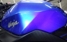 KAWASAKI NINJA 250 2010 EX250L