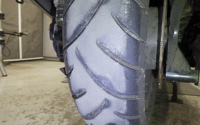 YAMAHA MAXAM 250 SG21J