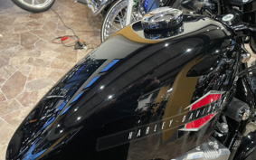 HARLEY XL1200X 2020 LC3
