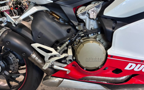 DUCATI 1199PANIGA-RES 2013