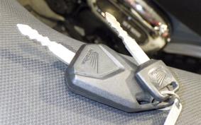 HONDA ｸﾞﾛﾑ JC75