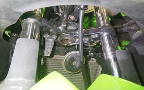 KAWASAKI NINJA 250R EX250K