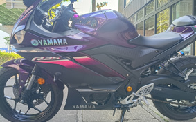 YAMAHA YZF-R25 RG74J