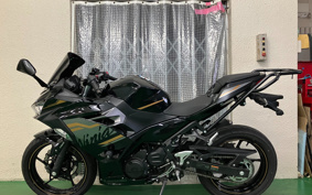 KAWASAKI NINJA 250 EX250P