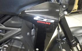 HONDA CB250RA 2012 MC52