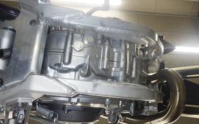 TRIUMPH TF250-X 2025