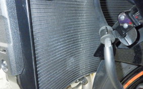 KAWASAKI ZH2 2024 ZRT00R