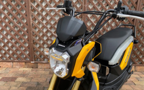 HONDA ZOOMER-X JF52
