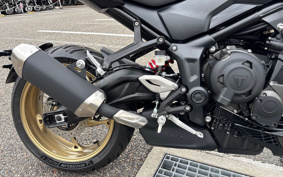 TRIUMPH TRIDENT 800 2026 L24P47
