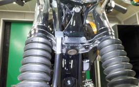 KAWASAKI W800 2017 EJ800A
