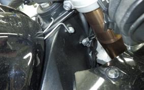 SUZUKI GSX-R1000 2010