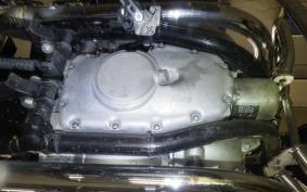 KAWASAKI W800 2025 EJ800E