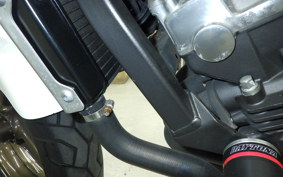 HONDA HORNET 250 2013 MC31