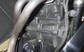 KAWASAKI NINJA 250 EX250L