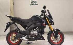 KAWASAKI Z125 PRO 1998 BR125H