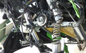 KAWASAKI NINJA 400 2019 EX400G