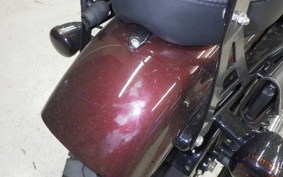 HARLEY XL1200NS 2019