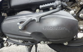 HONDA DUNK AF78