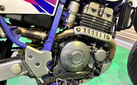 YAMAHA TT250R 4GY