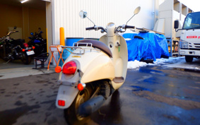 HONDA CREA SCOOPY AF55