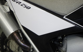 YAMAHA WR250R 2021 DG15J