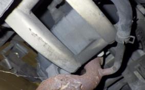 SUZUKI ADDRESS V100 2019 CE11A
