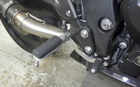 YAMAHA FZ1 FAZER 2010 RN21J