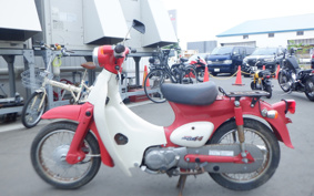 HONDA LITTLE CUB C50