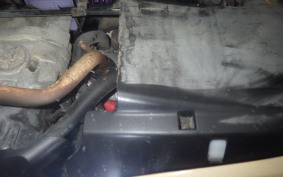 YAMAHA VINO 50 2025 SA26J