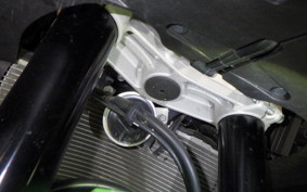 KAWASAKI NINJA ZX-6R A 2020 ZX636G