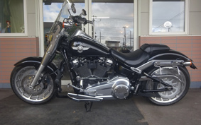 HARLEY FLFBS 2019 YGK