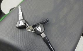 KAWASAKI NINJA 1000 SX 2021 ZXT02K