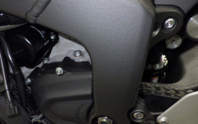 KAWASAKI NINJA ZX-6R A 2025 ZX636J