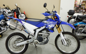 YAMAHA WR250R DG20