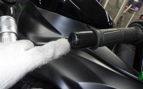 KAWASAKI NINJA ZX-6R A 2025 ZX636J