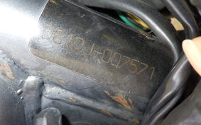 YAMAHA TRICKER DG10J