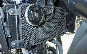 SUZUKI Vｽﾄﾛｰﾑ250 2018