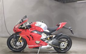 DUCATI  DUCATI PANIGA-REV4R DA04AA
