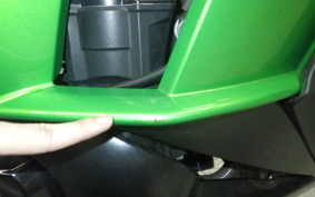 KAWASAKI NINJA 1000 A 2017