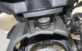 KAWASAKI NINJA 250 EX250L