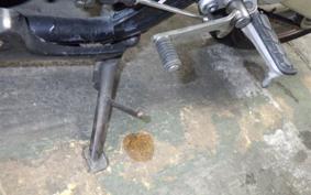 HONDA CB400SF VTEC 2008 NC42