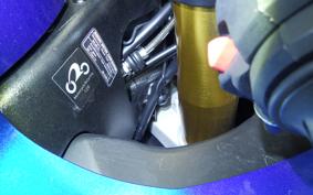 SUZUKI GSX-R1000R A 2007 DM11G