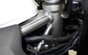 KAWASAKI ZX-4RR 2024 ZX400P