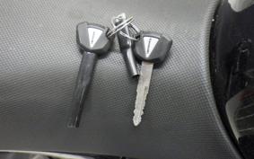 KAWASAKI NINJA 250 EX250P