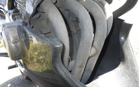 HONDA HORNET 250 MC31