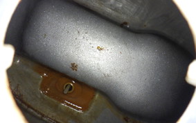 OTHER +UNREGISTERED MODEL by BDS 2022