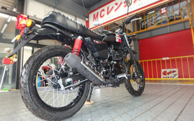 KAWASAKI W175 TR BJ175C