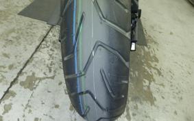 TRIUMPH TIGER 900 RALLY PRO 2026